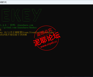 Steam仓库清单下载器 ikunshare 入库工具