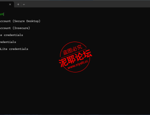 steam游戏D加密授权工具SteamLite_2.6.6_x64-Steam006